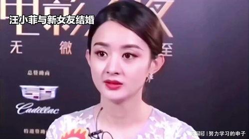 娱乐八卦吃瓜赵丽颖小说免费阅读,揭秘明星背后的故事，免费畅读